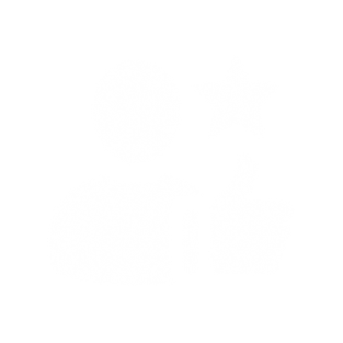 100% CUSTOMER SATISFACTION